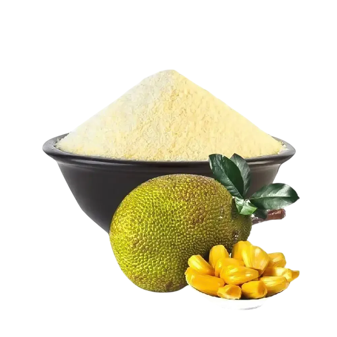 Dehydrated Jackfruit Powder for Wholesale Supply