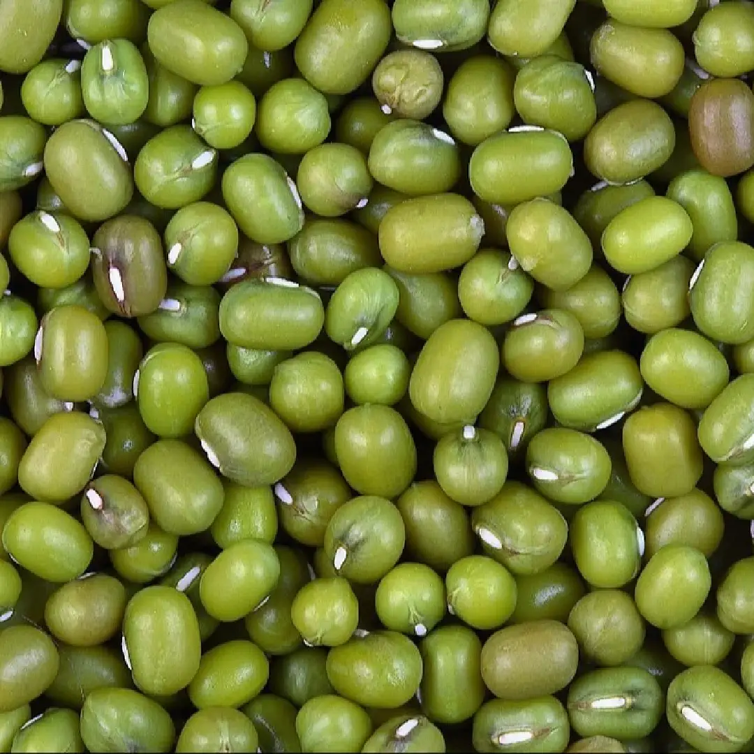 Whole Sortex Green Moong Bean – Pure & High-Quality Pulses