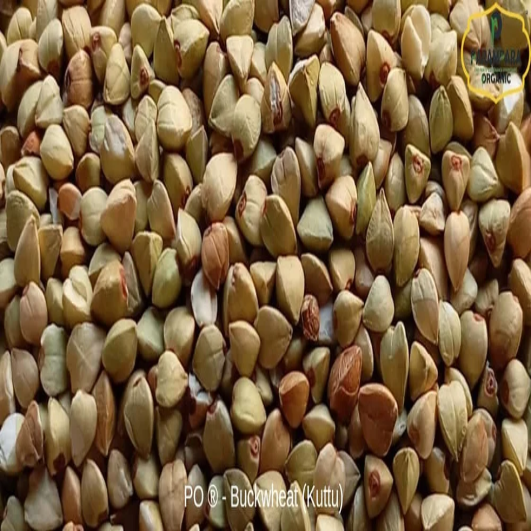 Golden Buckwheat Premium Wholesale Ingredient Source