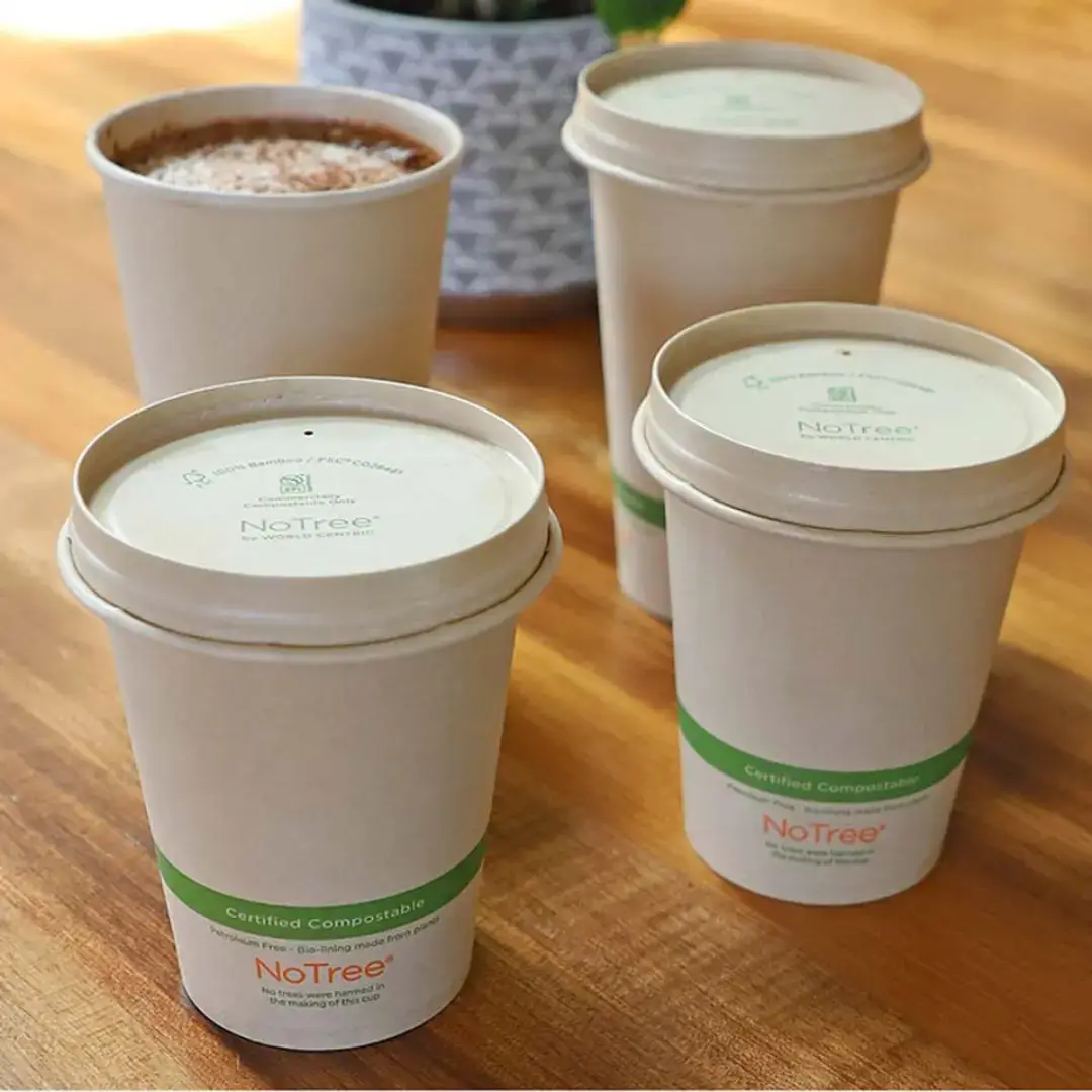 Compostable Cups 1000 Count Eco-Friendly Drinkware Supplier USA