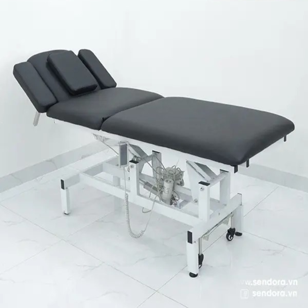 Electric 2-Motor Treatment Table Herab-1010 Vietnam