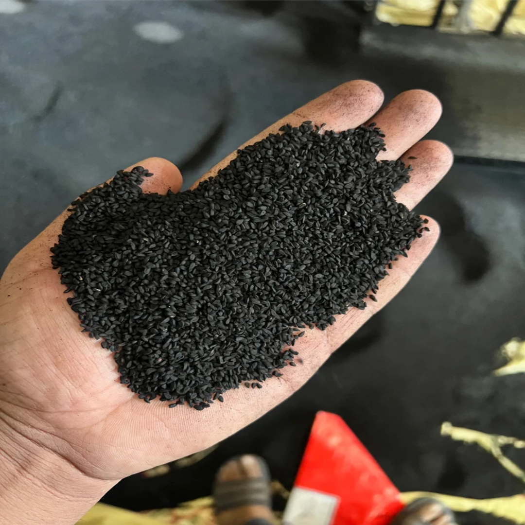 Black Cumin Kalonji Seeds