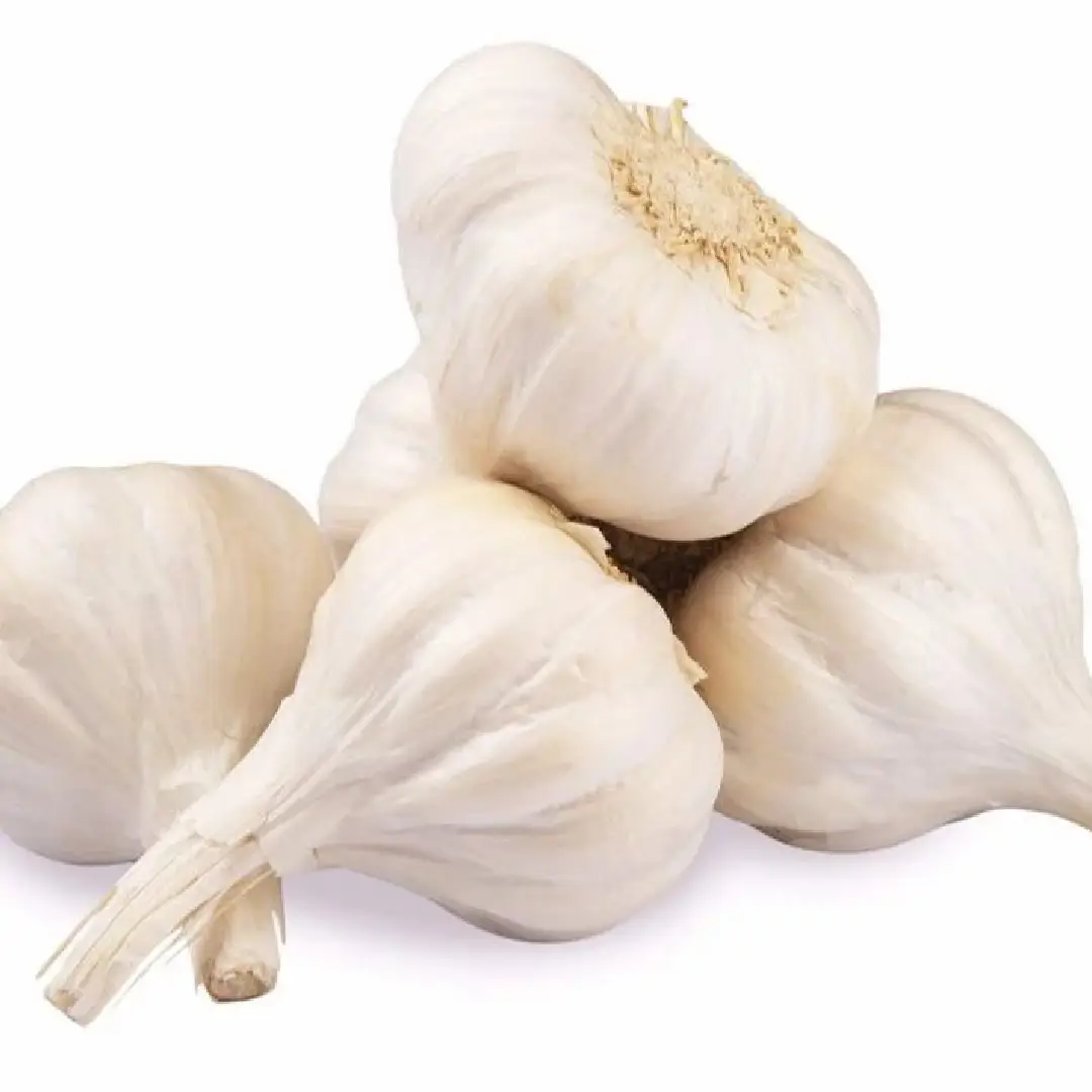 A Grade Organic Garlic Farm Fresh and High Quality