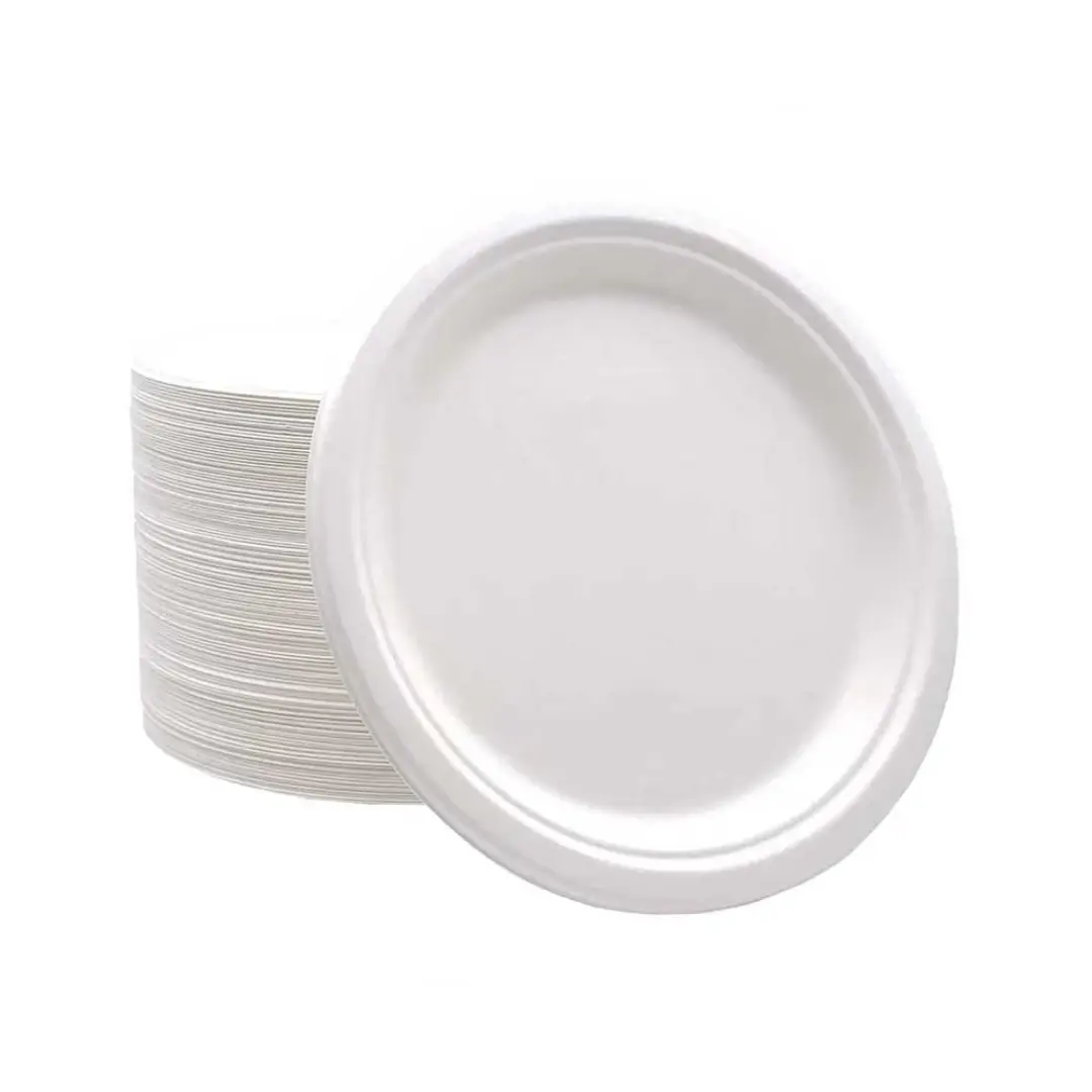 9-Inch Bio-Degradable Plate 50 Pieces UAE Eco Tableware Supplier