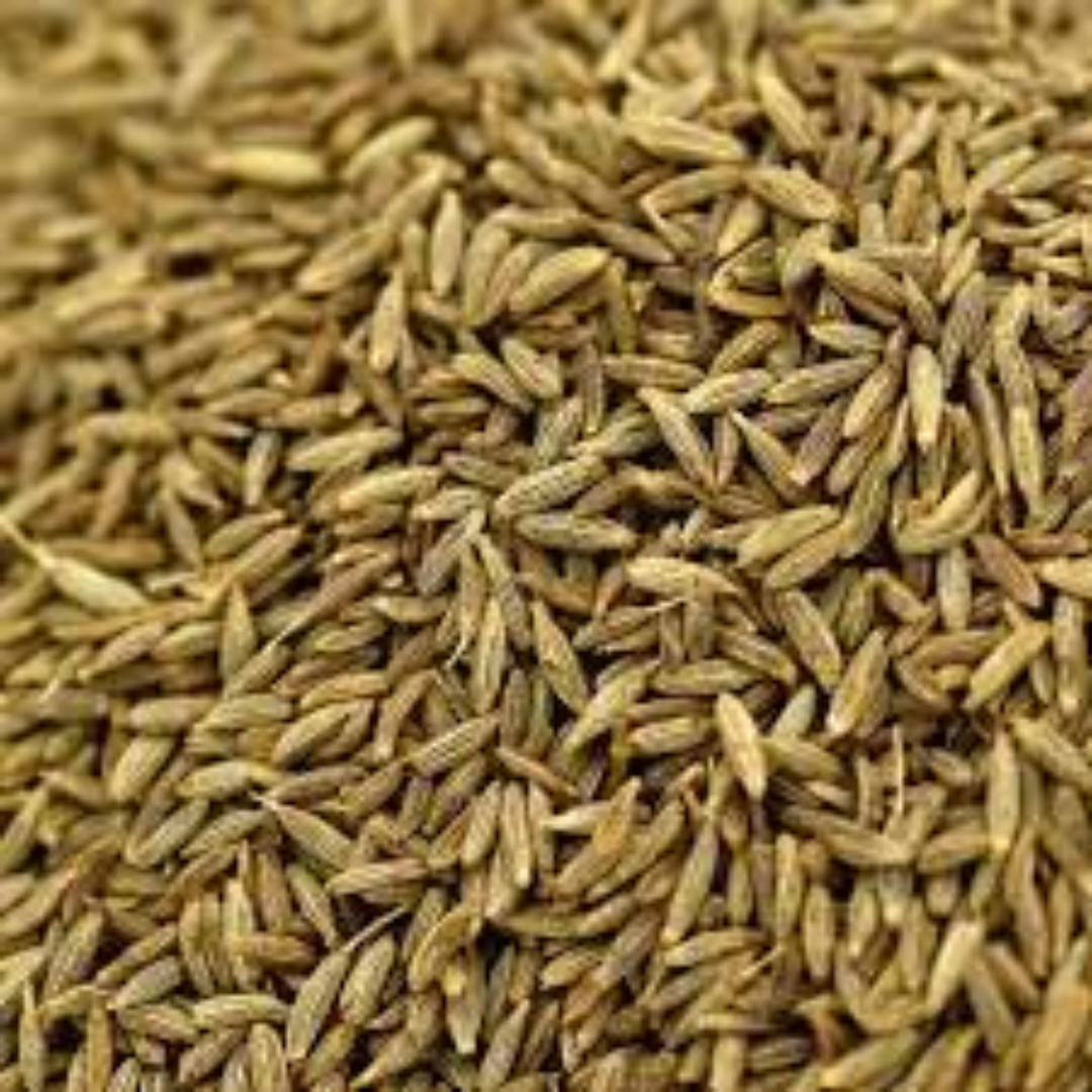 Cumin For Rich Aroma And Authentic Flavor