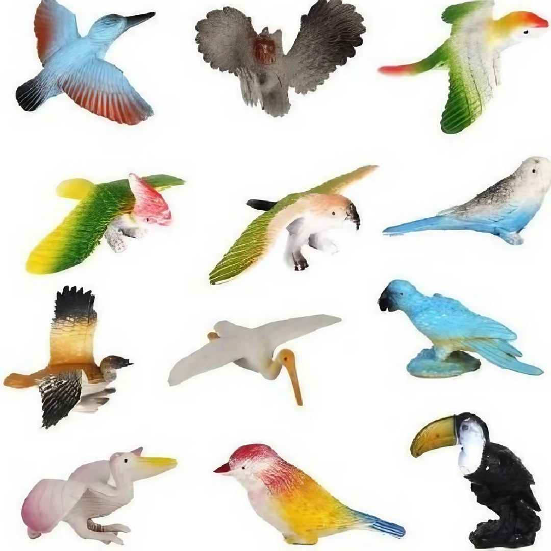 Plastic Beautiful Bird Toy Figure Play Set For Kids (Pack Of 12)