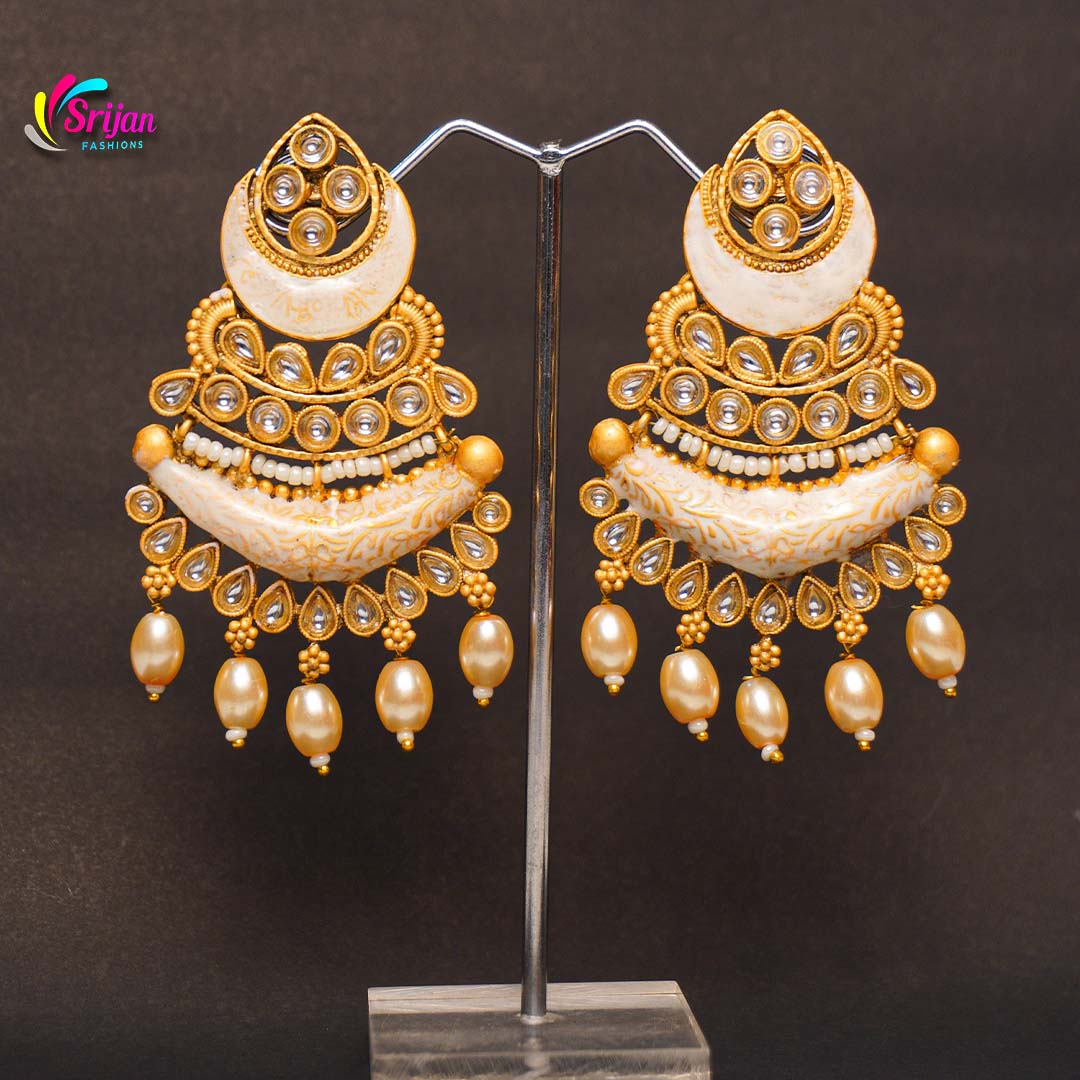 Elegant earrings