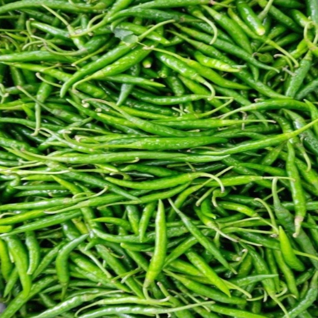 G4 Green Chilli – Fresh Produce Wholesale Supplier | India