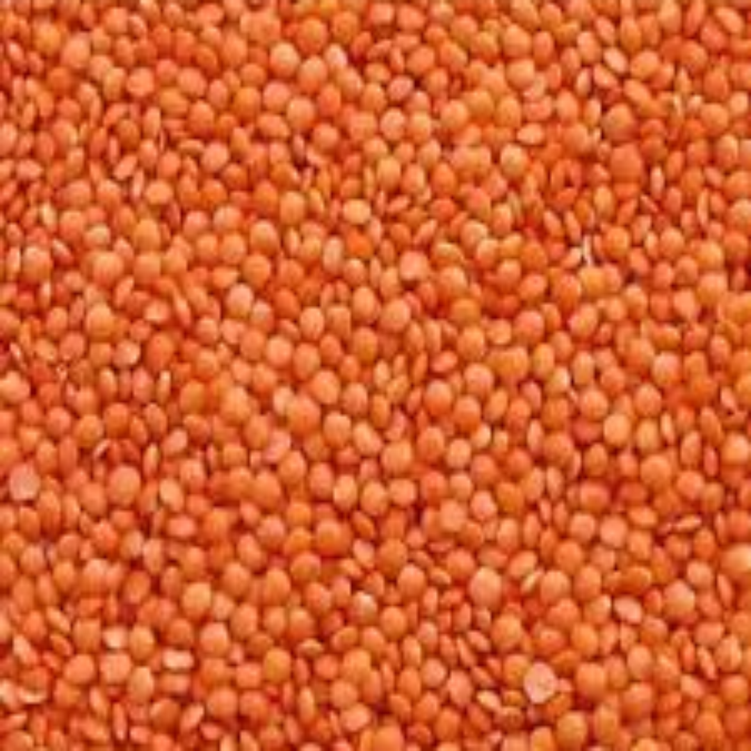 Best Masoor Dal Distributors & Exporters from UAE