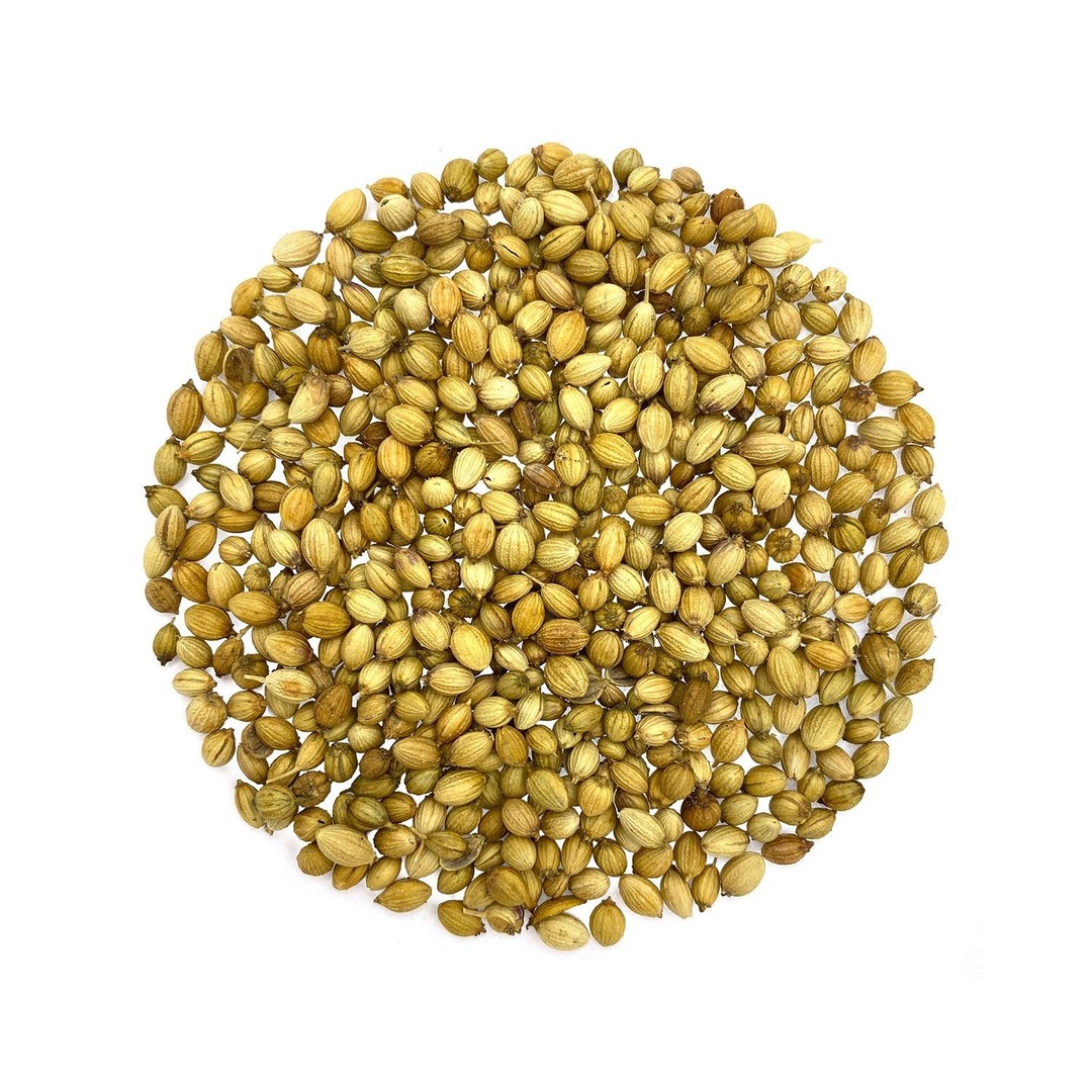 Coriander Seeds - Fresh & Aromatic Spices