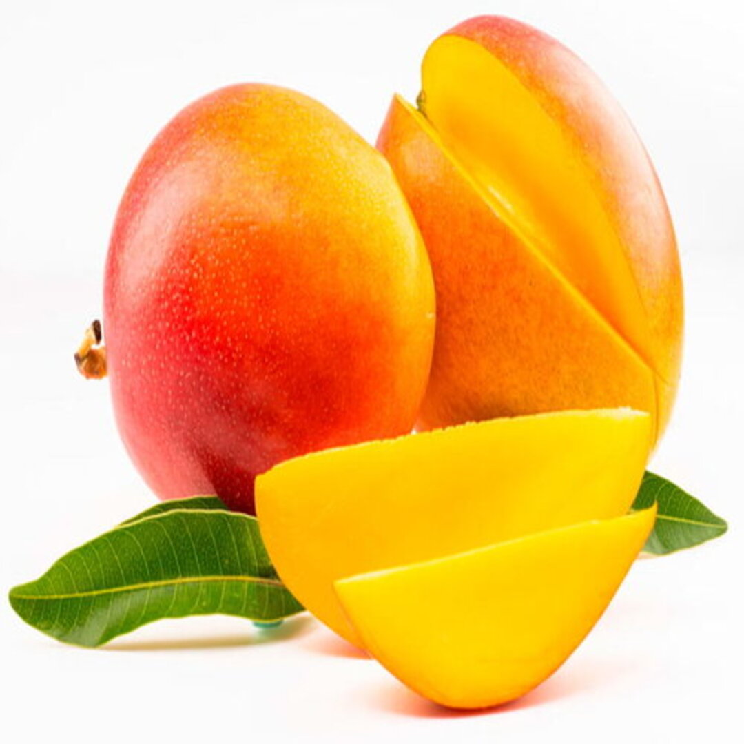 Wholesale Fresh Mango Supplier in India