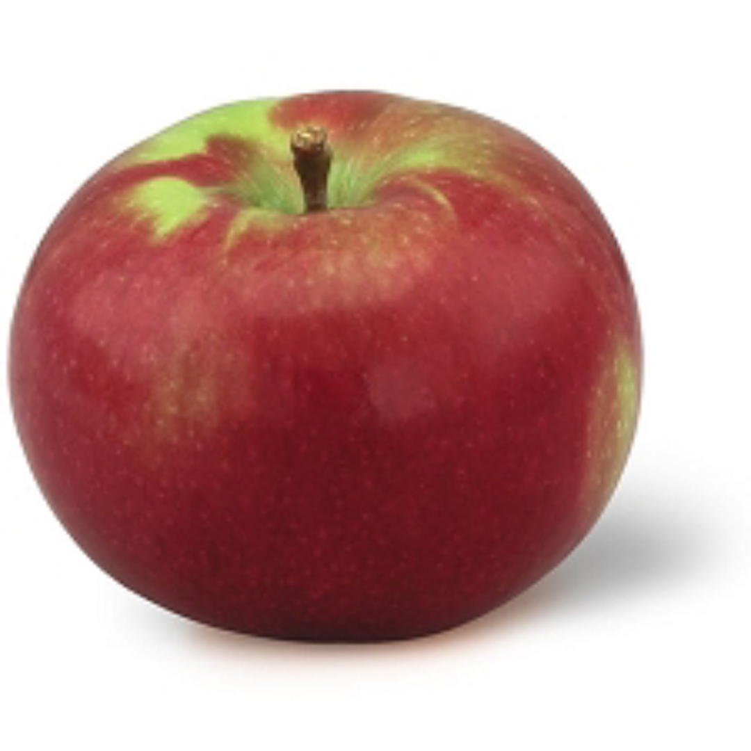 McIntosh Apples Supplier and Wholesaler – UAE