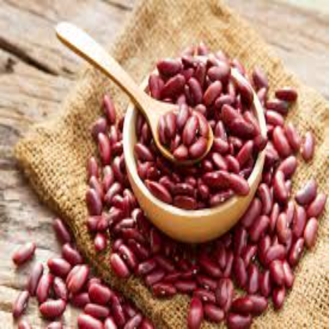 Red Kidney Beans – Wholesale Exporters UAE