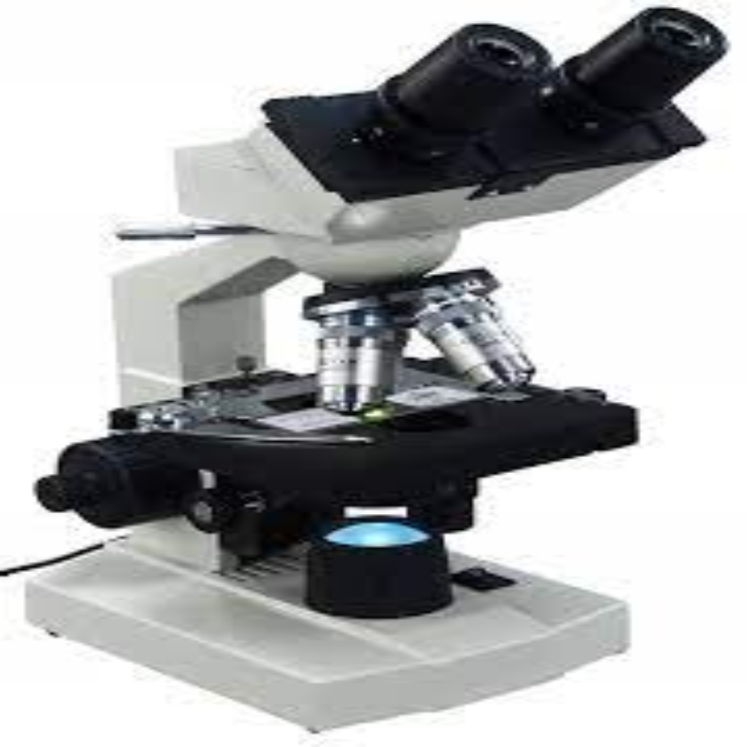 Compound Microscopes With High Magnification