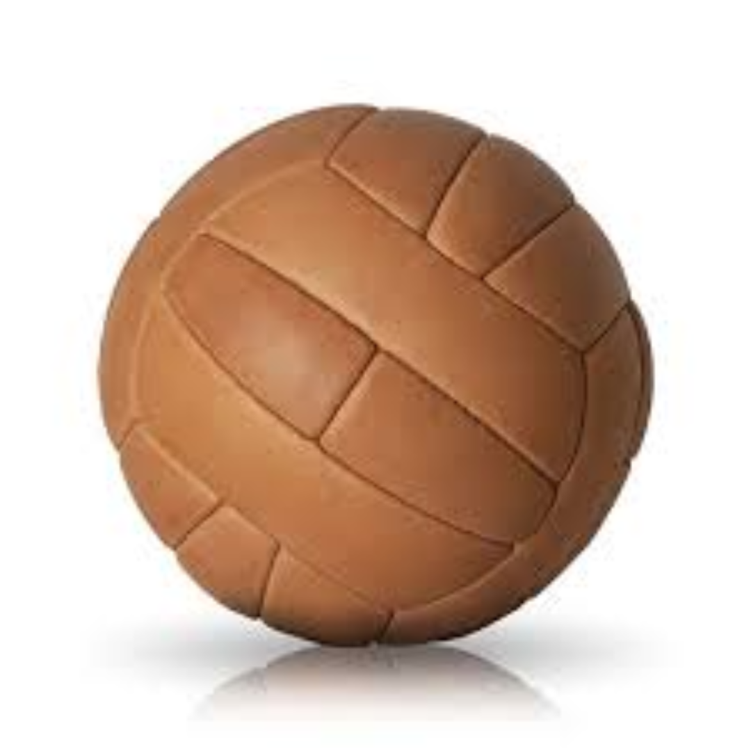 Genuine Leather Sports Balls For Sale