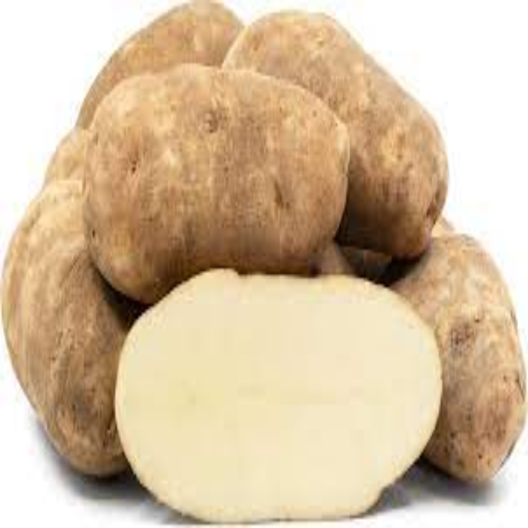 Russet Potato Wholesale For Versatile Cooking Use
