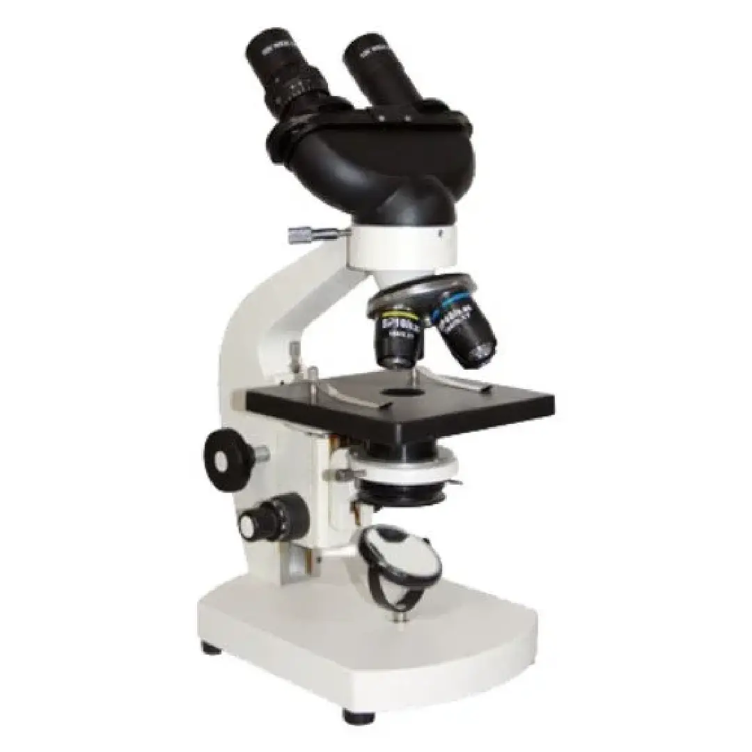 Olympus Compound Microscope - High-Precision Optics 