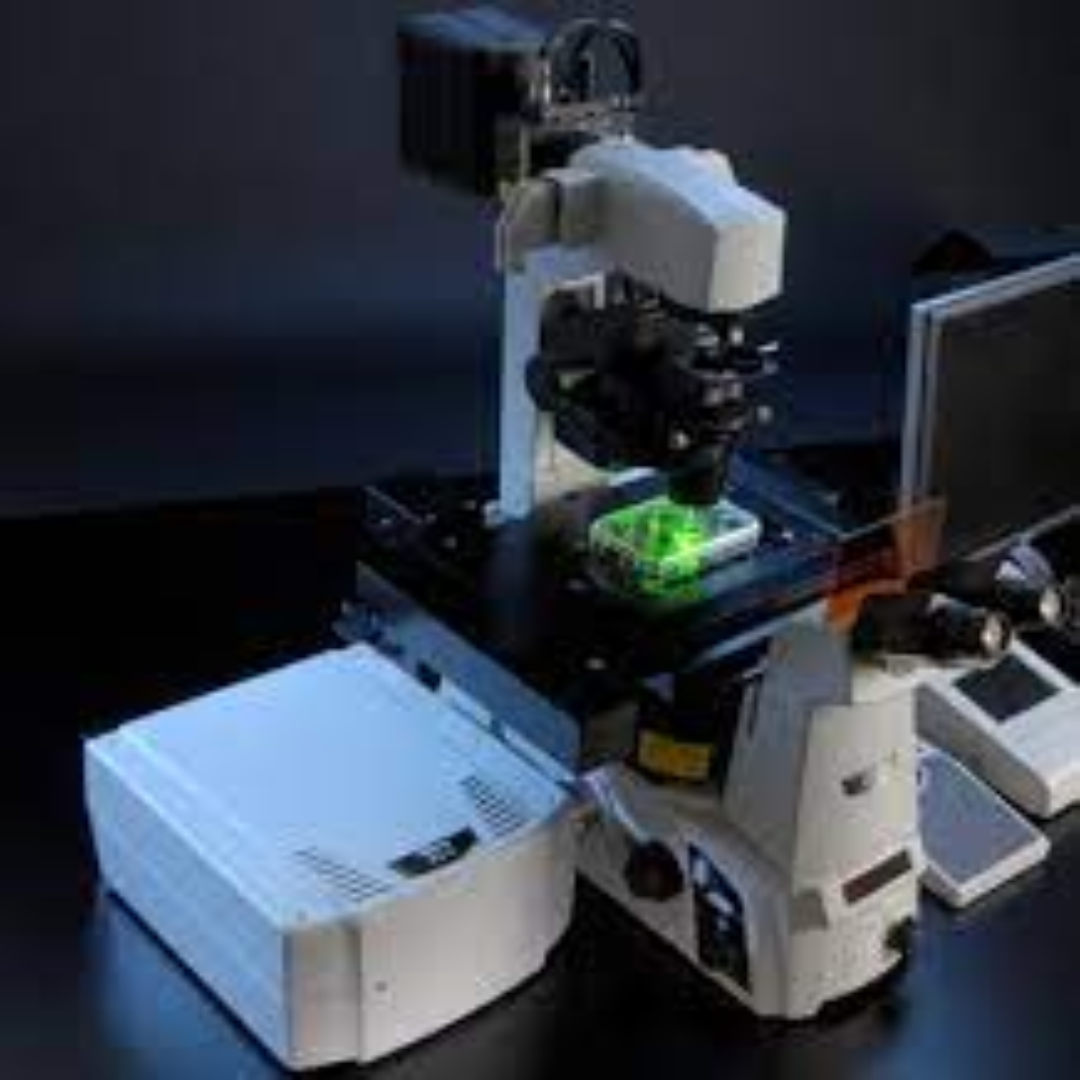 Laser Scanning Confocal Microscopes For Advanced Research