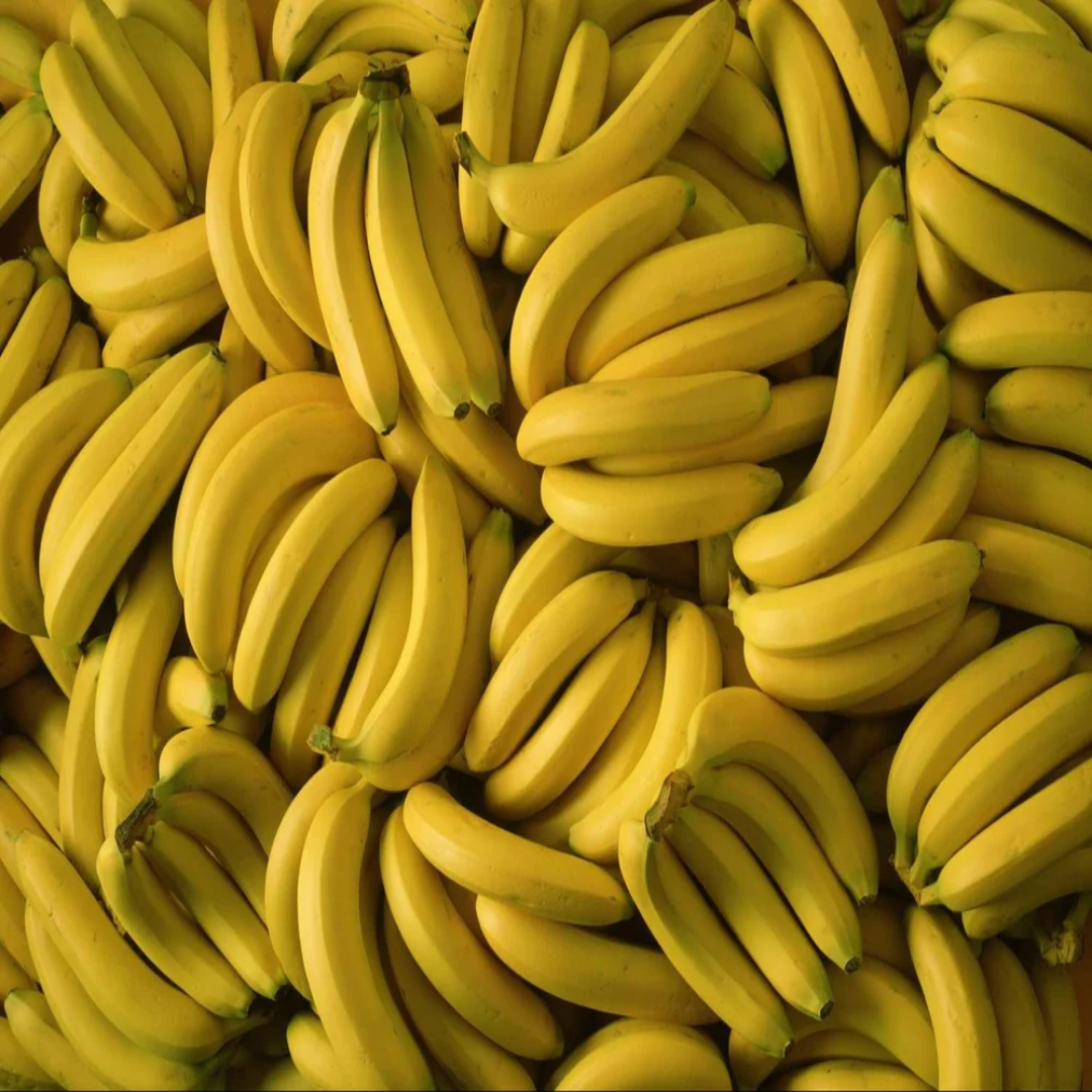 Wholesale Supplier of A Grade Fresh Cavendish Yellow Bananas