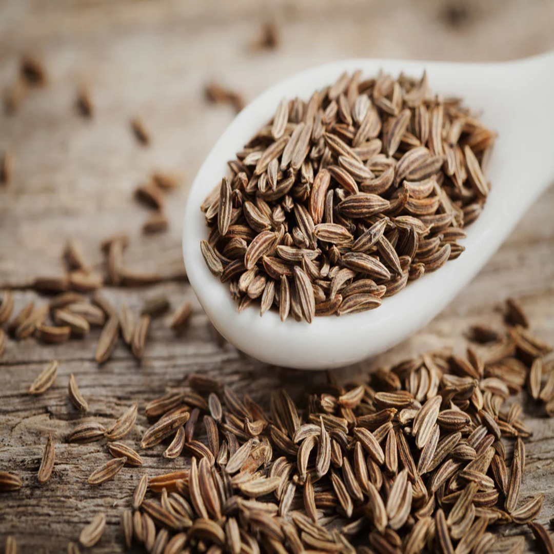 Cumin Seeds High Grade Spice Exporter India