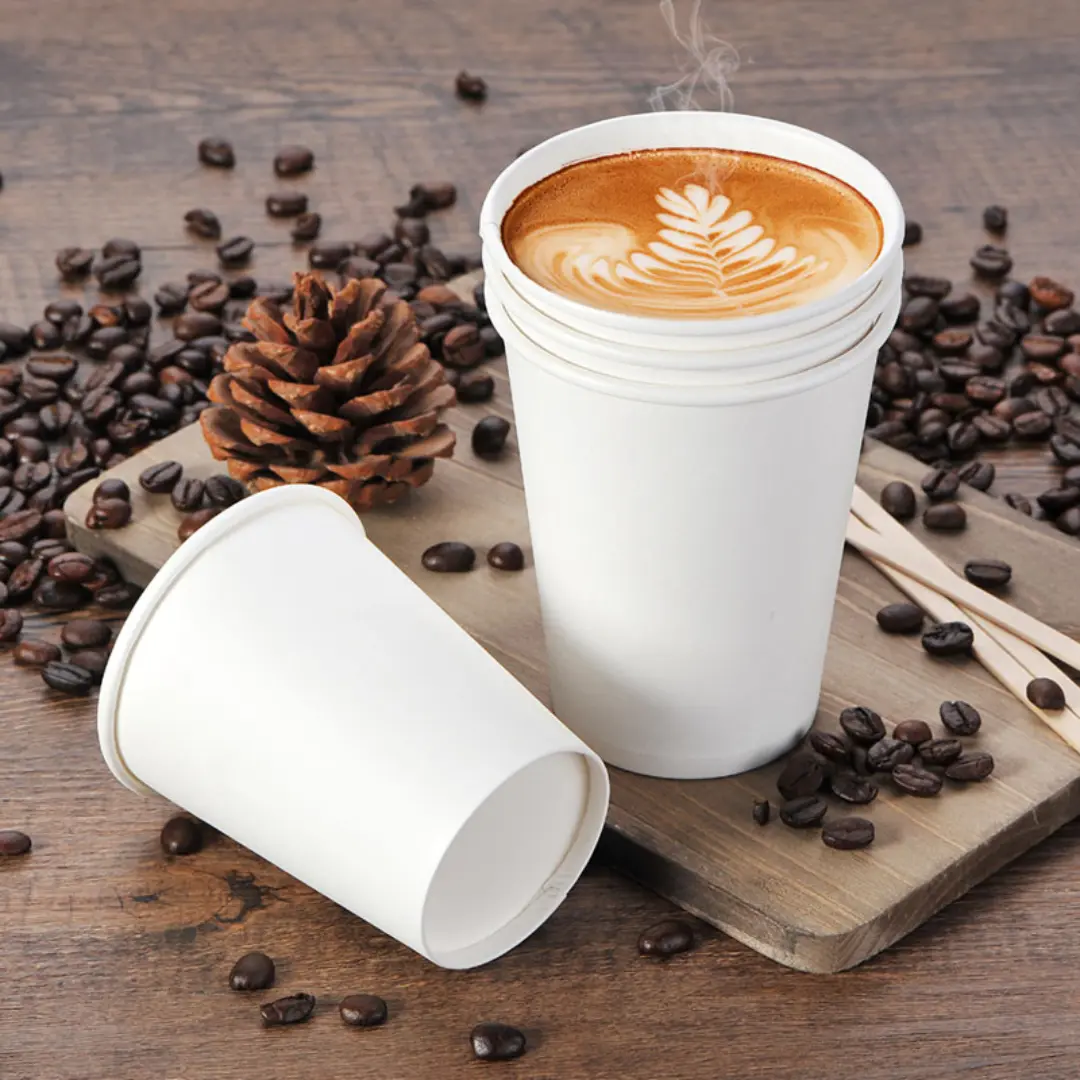 Compostable Cups Malaysia Eco Cup Wholesale Supplier