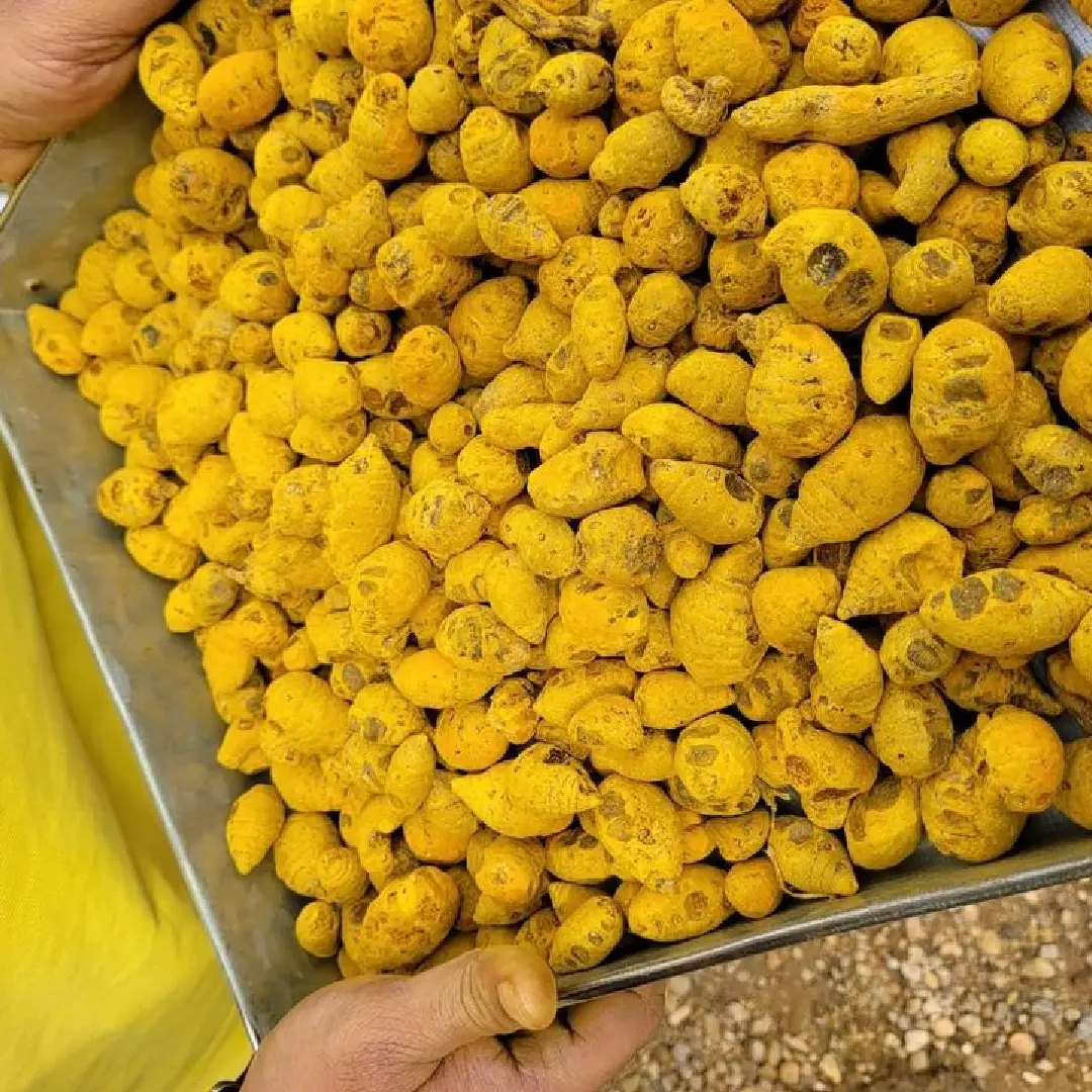 Pure Organic Turmeric Powder (Haldi from Salem) – Wholesale & Supplier from India