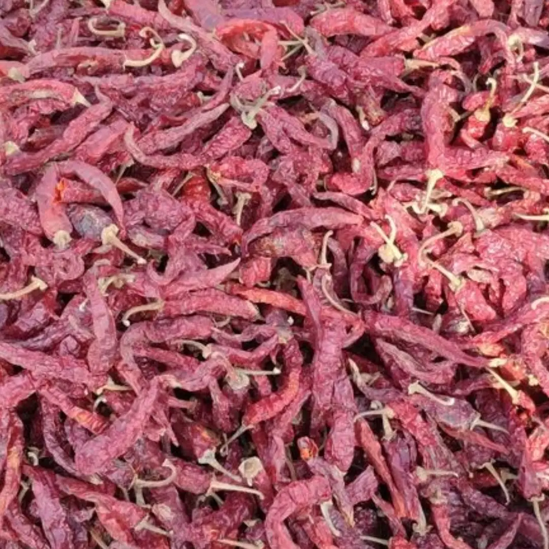 Whole Red Chillies – Wholesale & Supplier from India