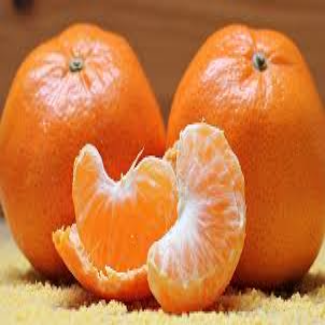 Wholesale Mandarin, Tangerine & Clementine Supplier and Distributor – Dubai, UAE
