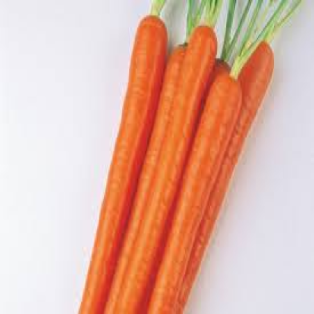 Wholesale Enterprise Hybrid Carrot Supplier UAE