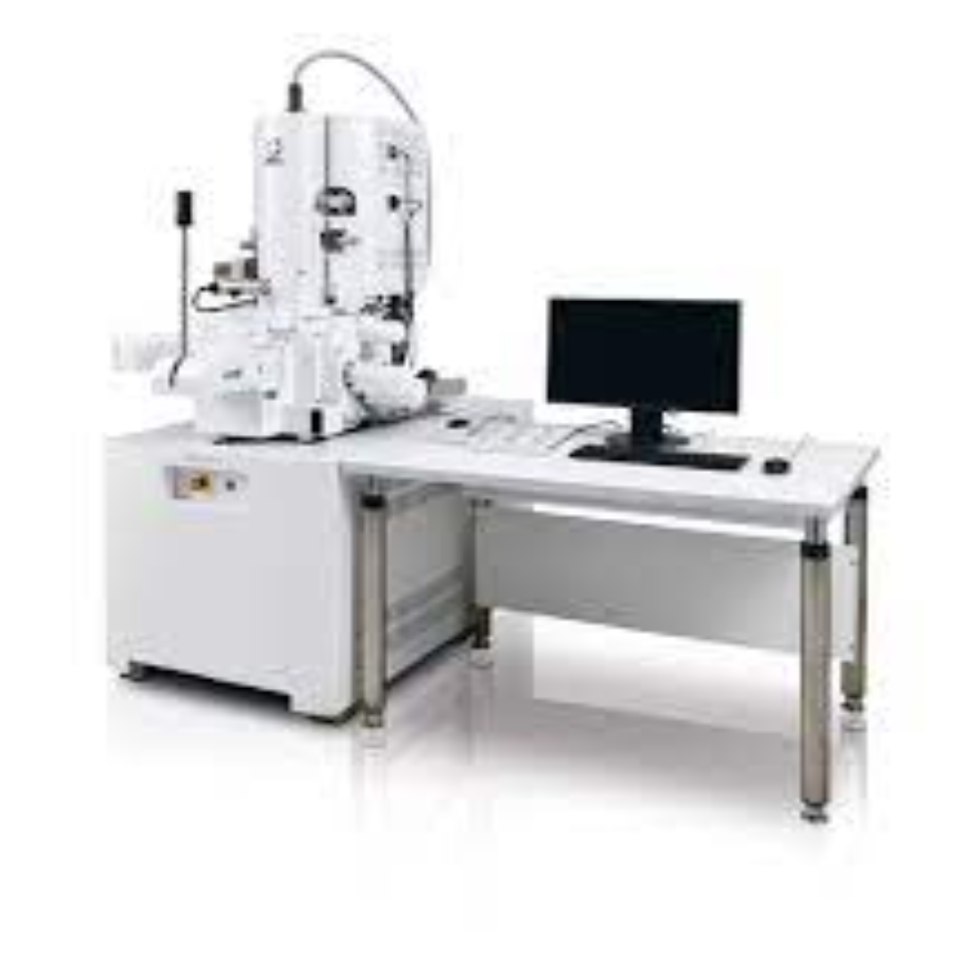 SEM Applications In Materials Science