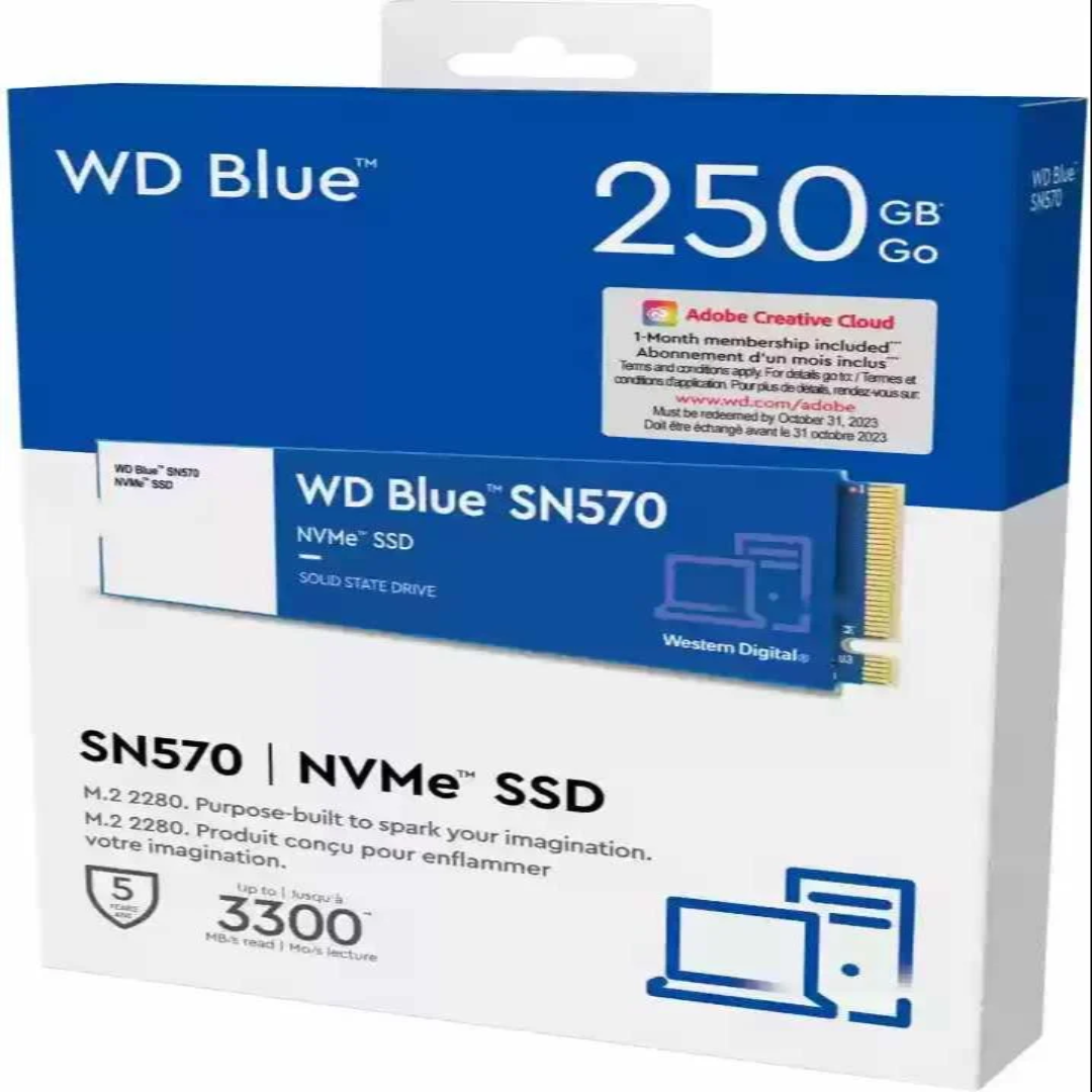 WD WD Blue NVMe SN570 250 GB Desktop, Laptop Internal Solid State Drive (SSD)