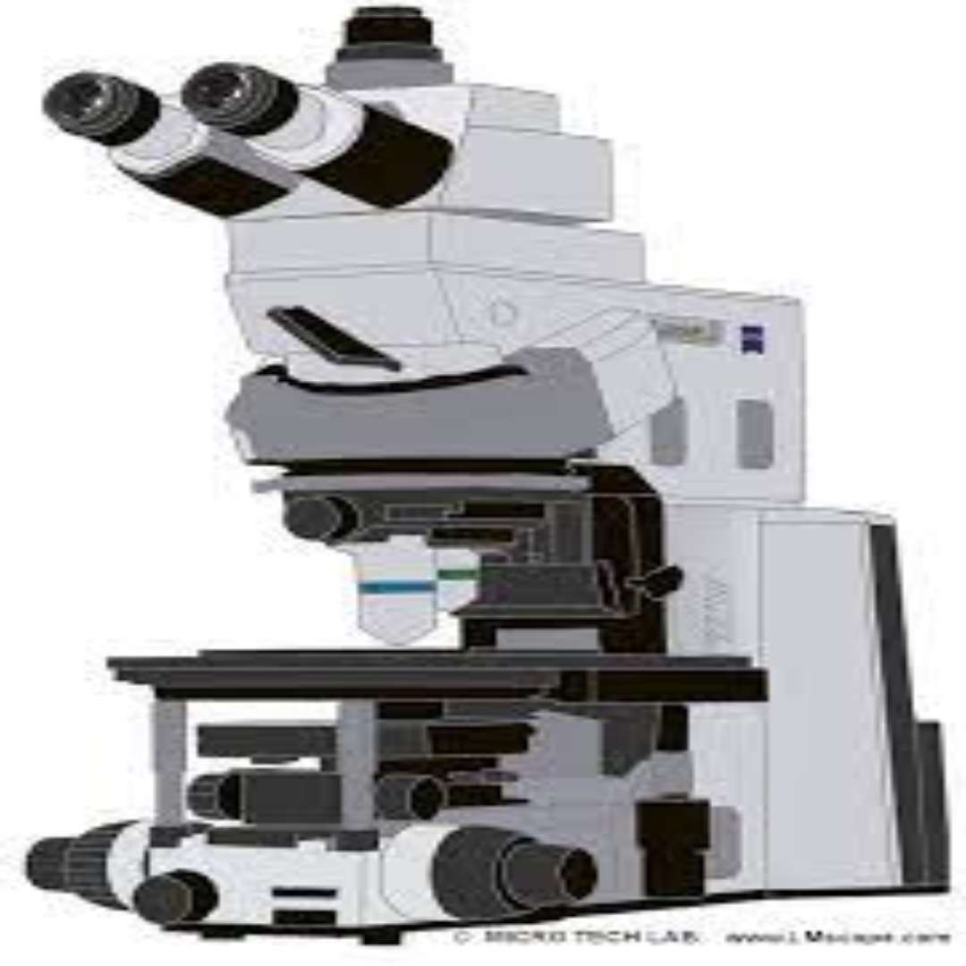 Upright Fluorescence Microscopes For Precise Lab Imaging