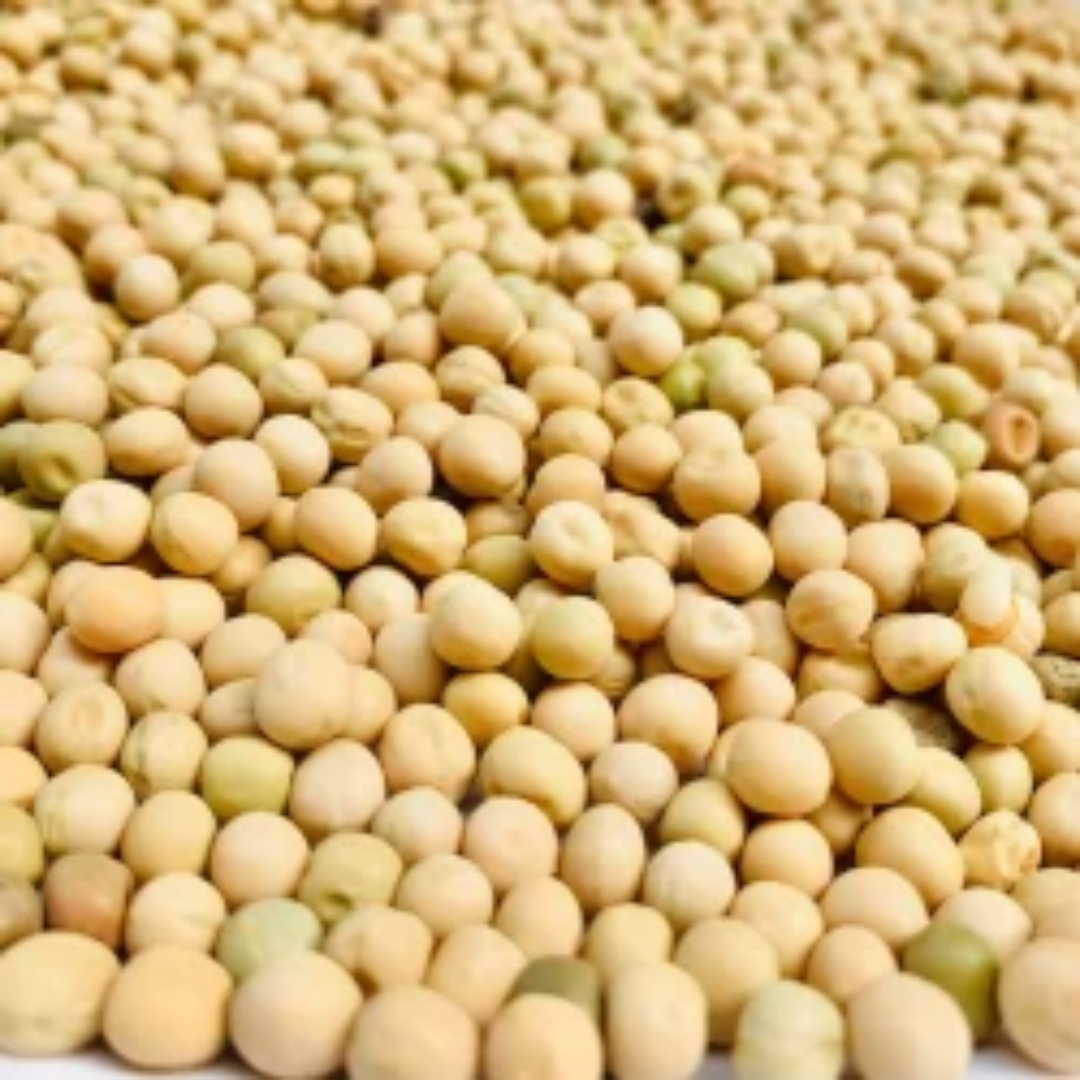Yellow Millet Seeds, Whole Grain