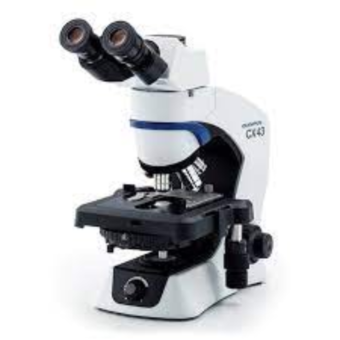 Phase Contrast Microscopes For Lab Study