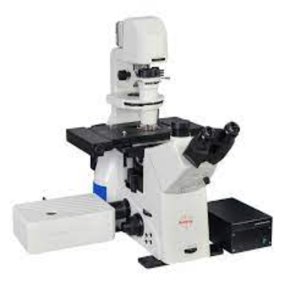 Confocal Microscopes For Advanced Laboratory Imaging