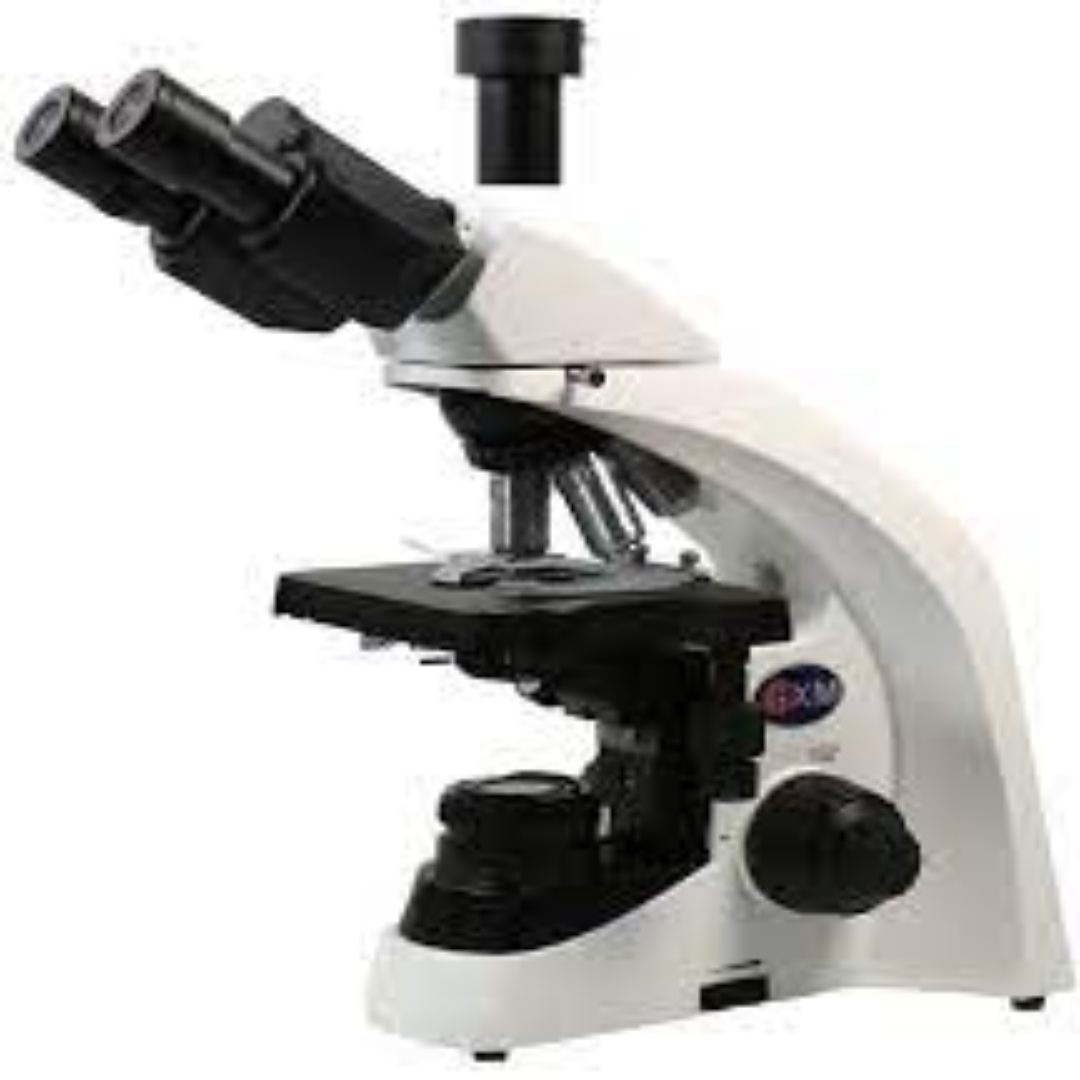 Phase Contrast Microscopes For Clear Cell Imaging