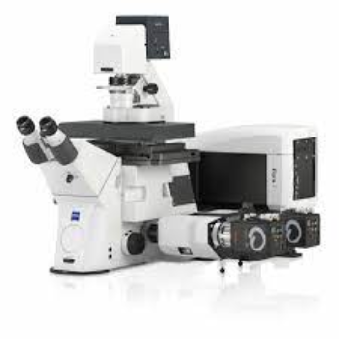 Confocal Microscopes For Precise Cellular Imaging
