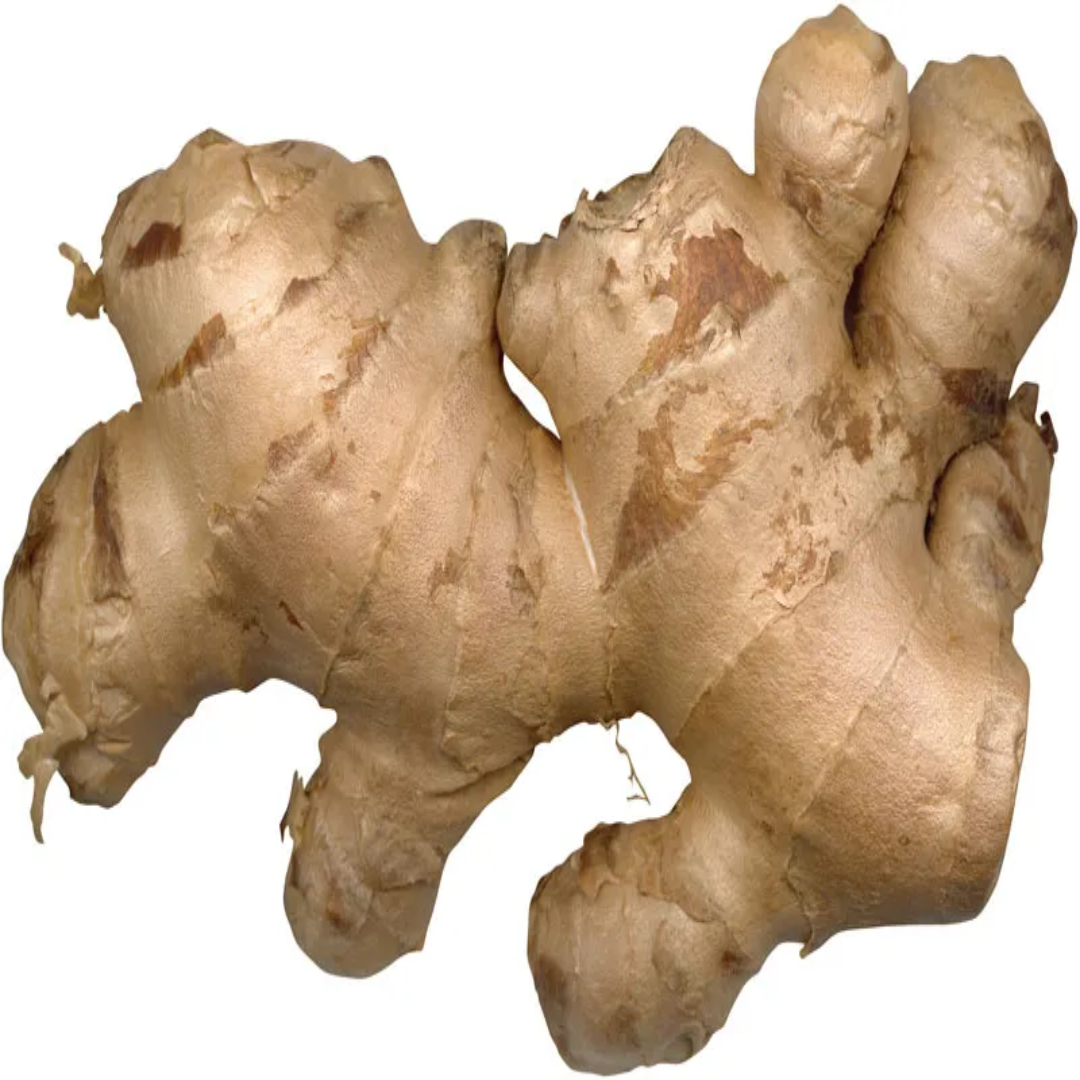 Common Ginger Supplier For Fresh Spicy Flavor