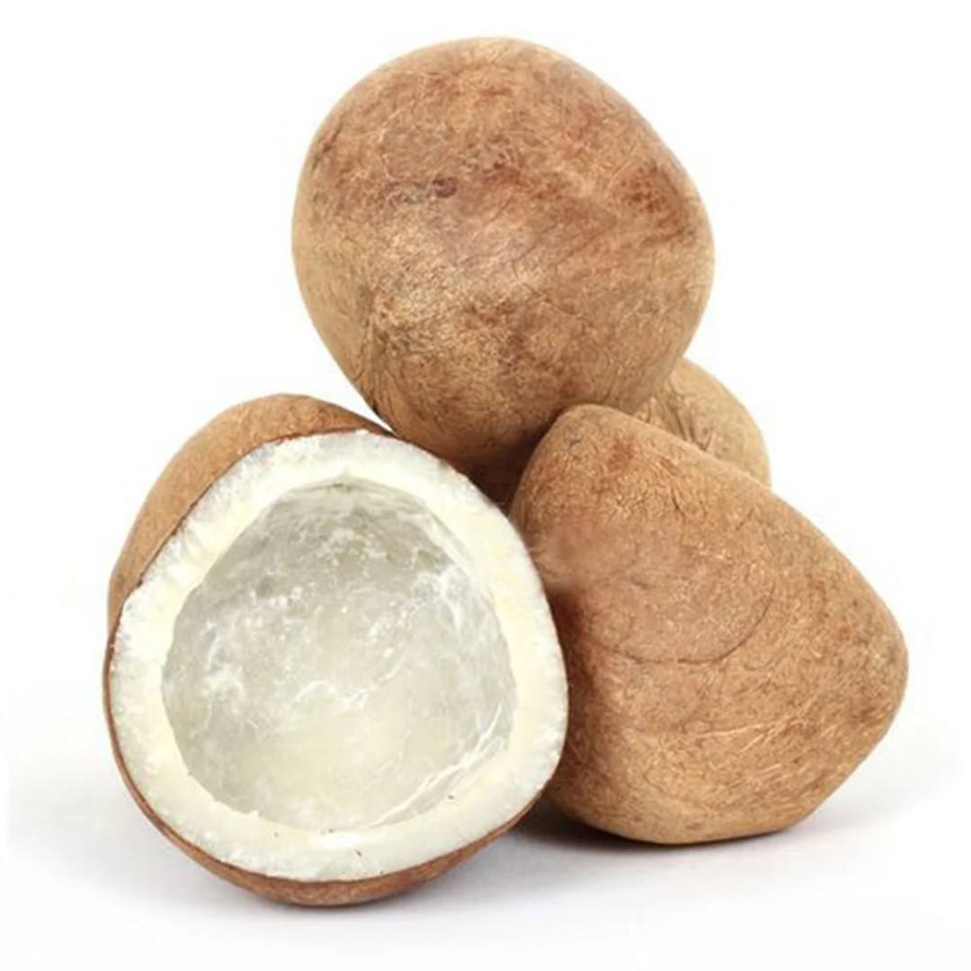 Half Cut Dry Coconut Copra Exporter UAE