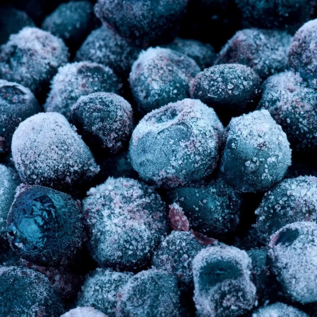 Wholesale Frozen IQF Blueberry – Saudi Arabia