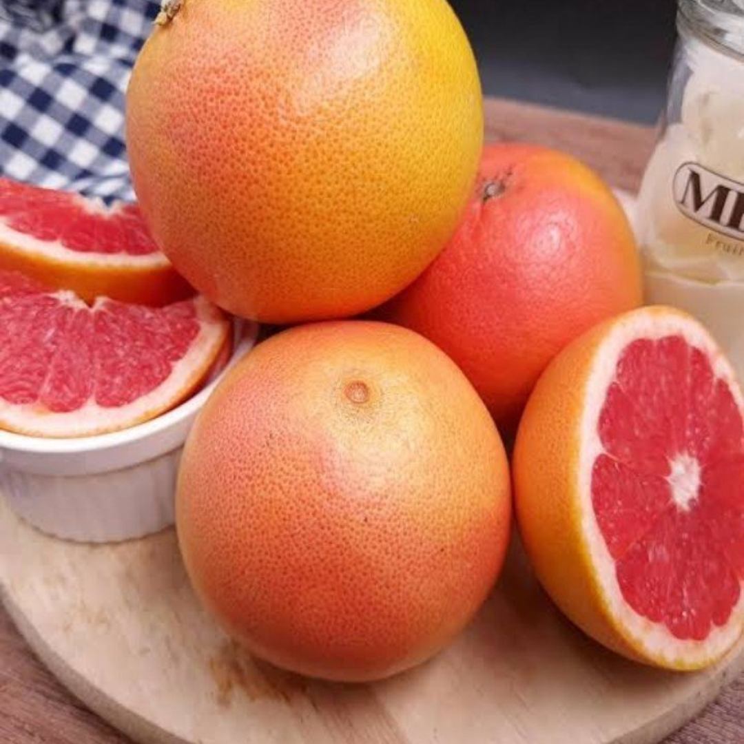 Wholesale A Grade Grapefruit – Saudi Arabia