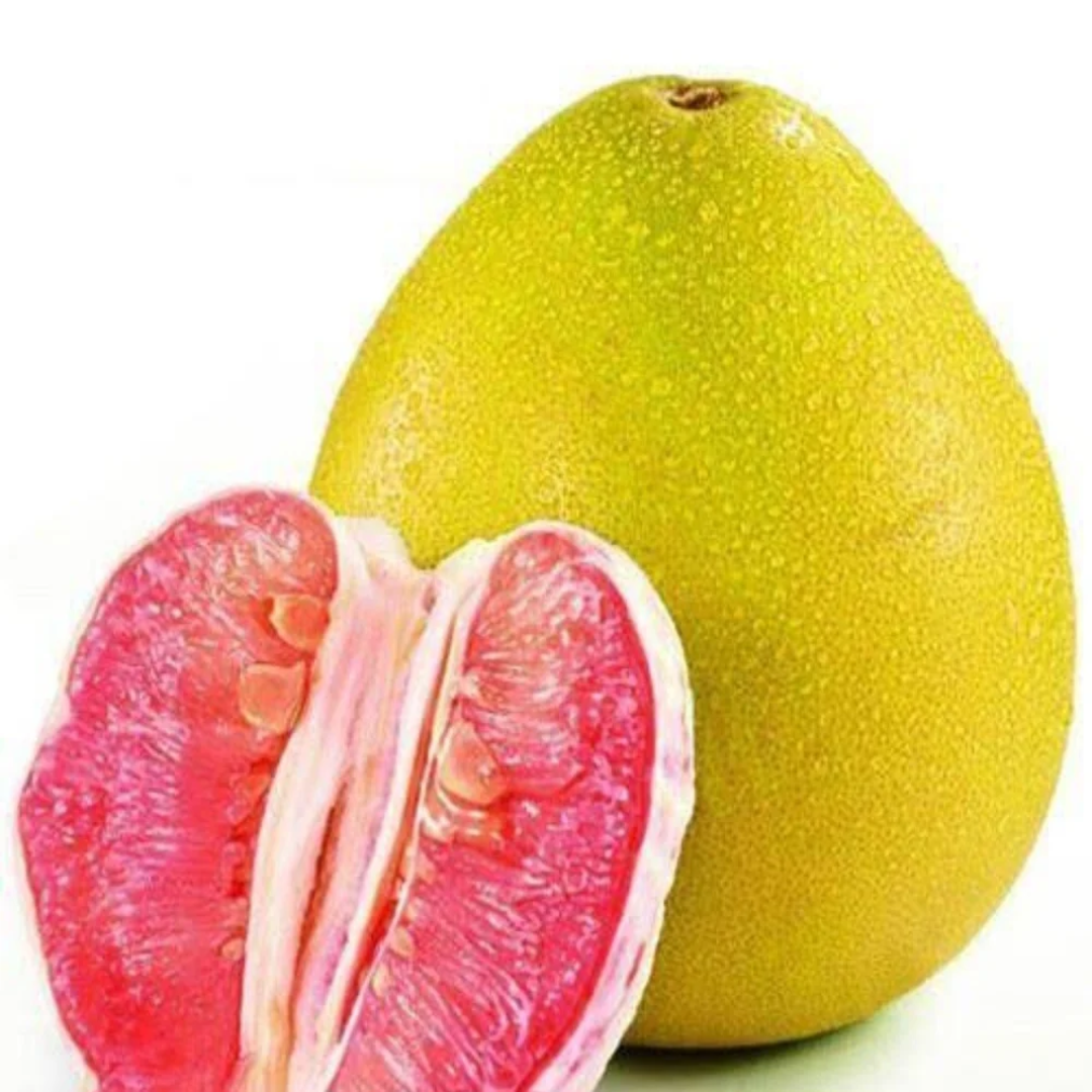Wholesale A Grade Meghalaya Pomelo Fresh Fruits – UAE