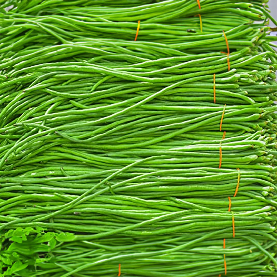 Vegetable Beans from Trusted Wholesaler and Supplier – Dubai, UAE