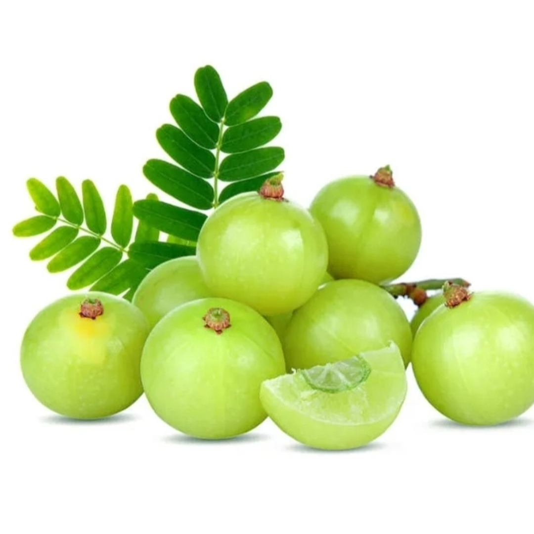 Wholesale Fresh Gooseberry Supplier – UAE