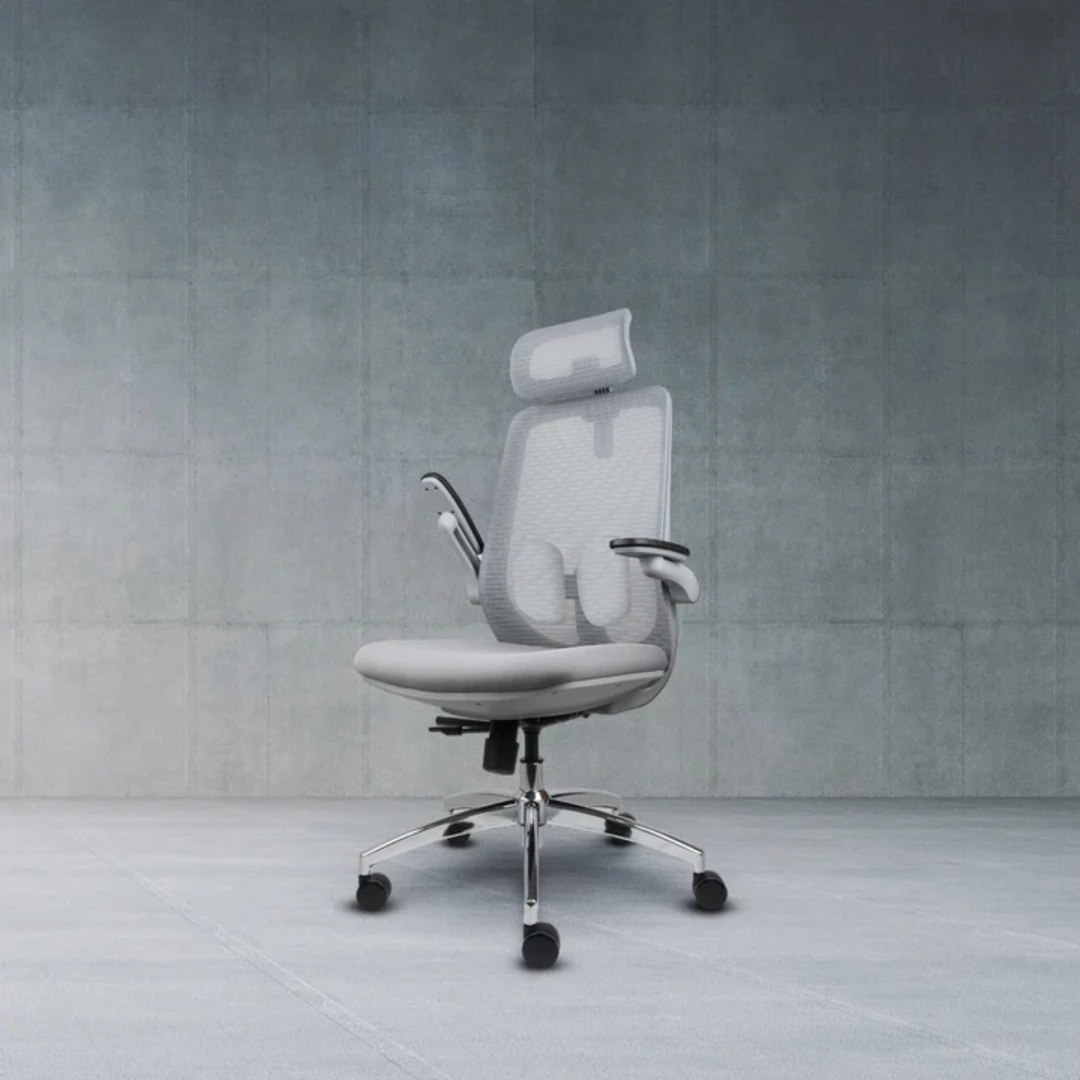 LIV 10 Orthopedic Chair Ergonomic Comfort for Clinics MY