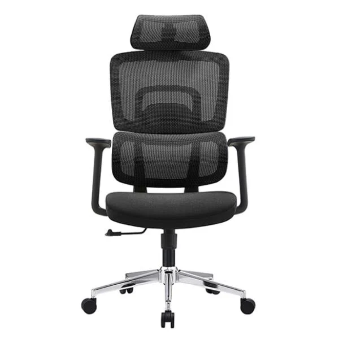 Ergonomic Orthopedic Chair VFEC192A Vietnam