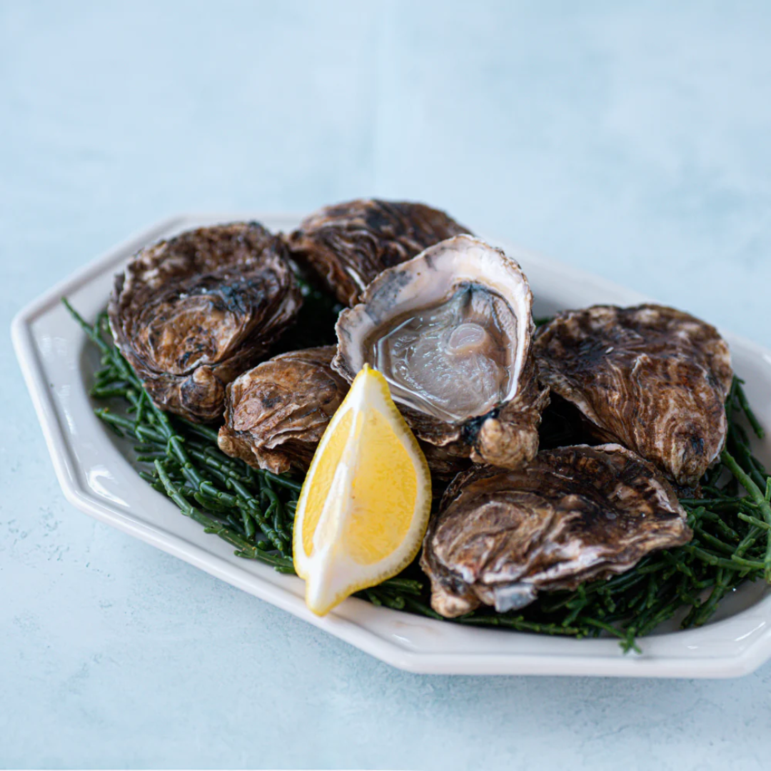 English Oysters Fresh Shellfish 6 Pieces UK