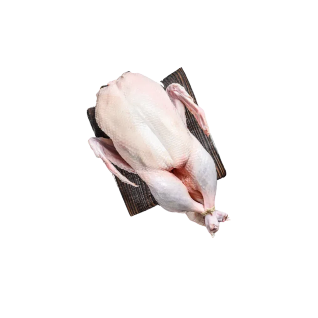 Whole Duck Premium Fresh Poultry UK