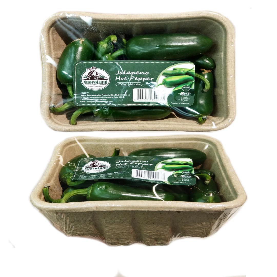 NL Jalapeno Hot Pepper 250g – Spicy Pickle Malaysia