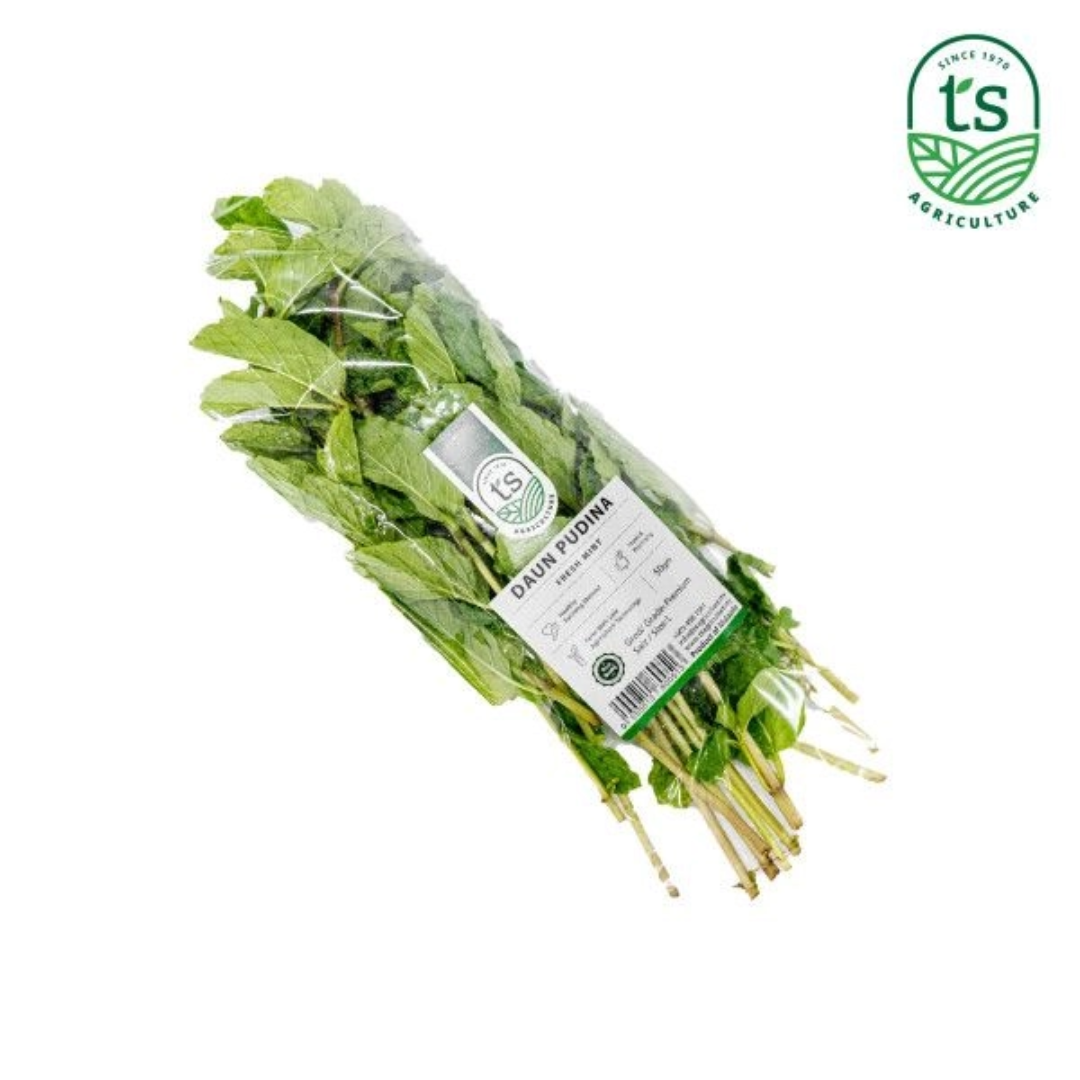 Fresh Mint Leaves 50gm Aromatic Herbs Malaysia